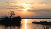 How Climate Change Has Affected Uganda’s Lake Wamala 